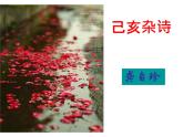 七下古代詩歌五首己亥雜詩同步課件