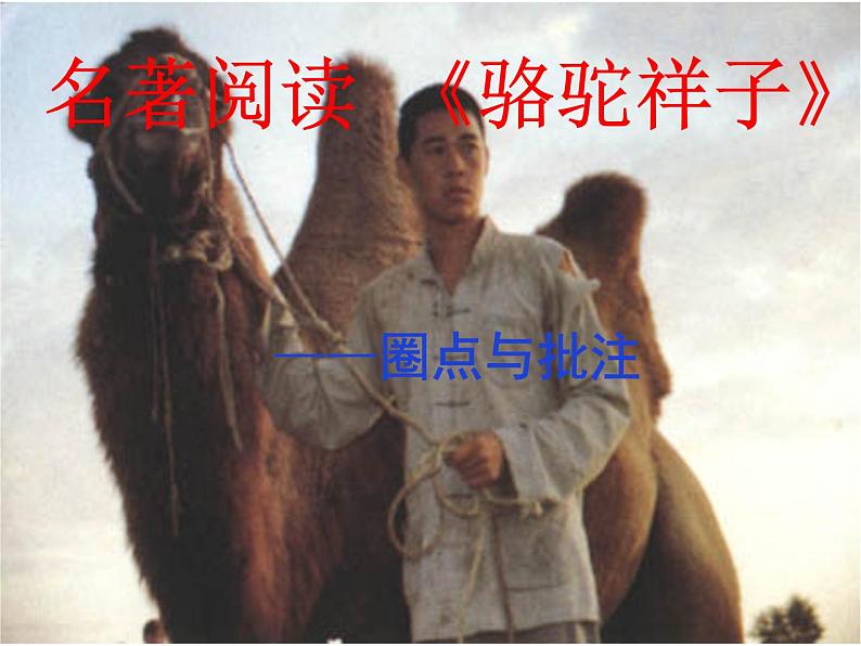 骆驼祥子同步课件第1页