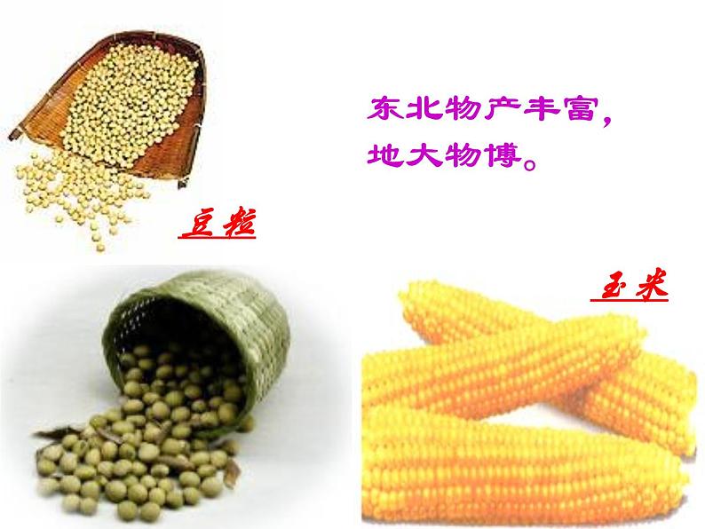 第7课《土地的誓言》PPT课件4-七年级语文下册统编版第6页