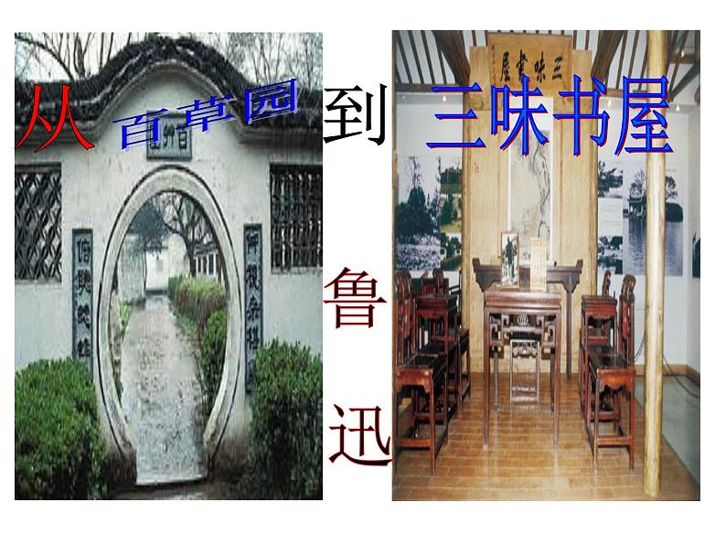 七上从百草园到三味书屋同步课件 课件03