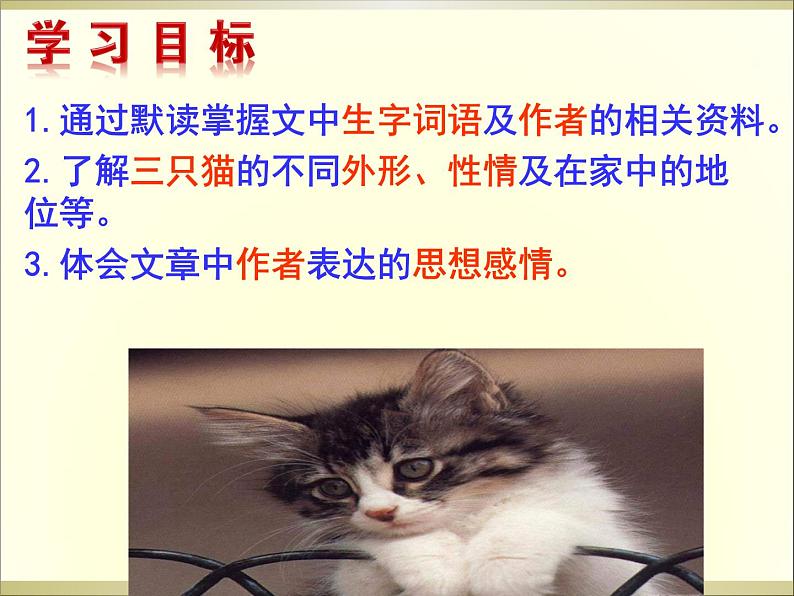 七上猫同步课件 课件04