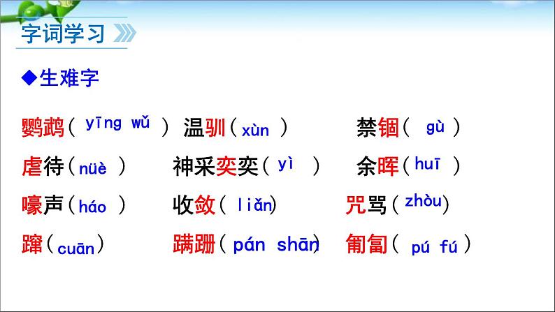 七上动物笑谈同步课件 课件06