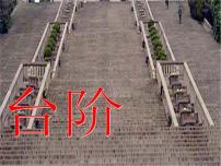 人教部编版七年级下册台阶教学演示课件ppt