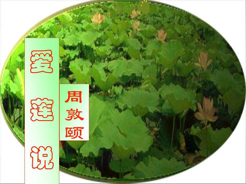 第16课《古文两篇-爱莲说》PPT课件2-七年级语文下册统编版06