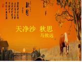 部编版语文七年级第一单元上册《天净沙·秋思》马致远课件PPT