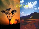 部编版语文七年级第一单元上册《天净沙·秋思》马致远课件PPT