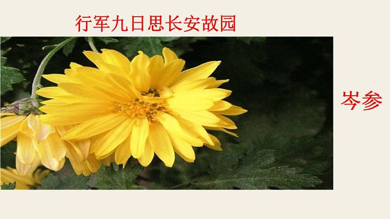 七上行军九日思长安故园同步课件 课件02