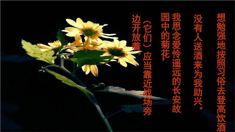 七上行军九日思长安故园同步课件 课件08