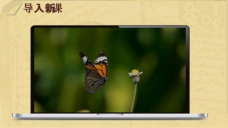 10.《再塑生命的人》课件第4页