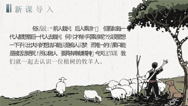 13《植树的牧羊人》（课件+教案）05