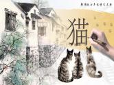 16《猫》（课件+教案）