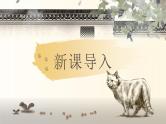 16《猫》（课件+教案）