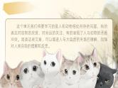 16《猫》（课件+教案）