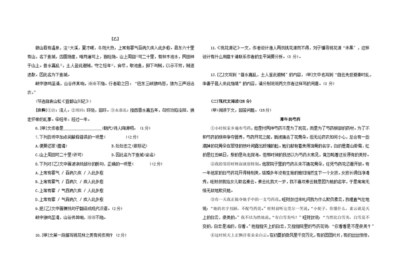 2023年吉林省大安市乐胜乡中学校中考第五次模拟测试语文试题+第2页