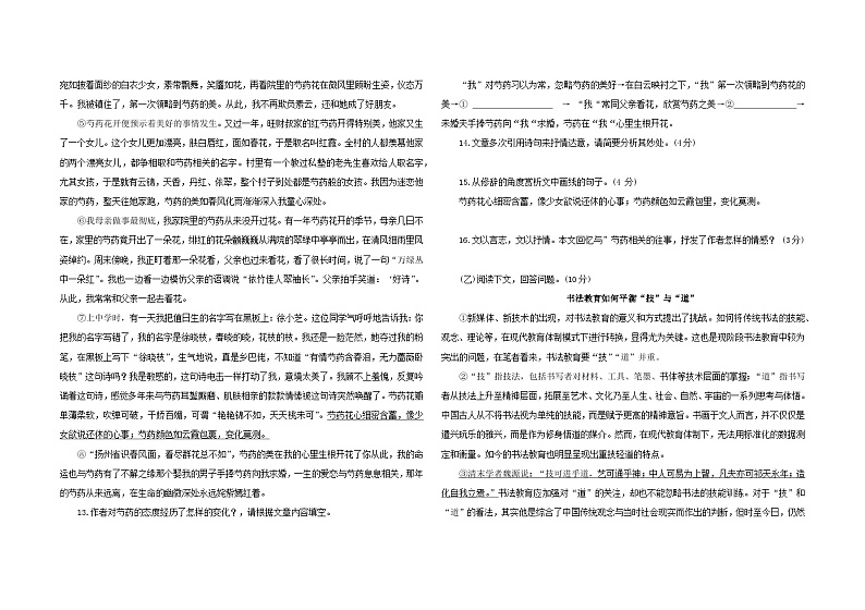 2023年吉林省大安市乐胜乡中学校中考第五次模拟测试语文试题(含答案)03