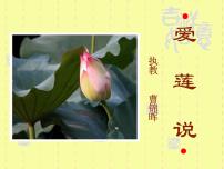 初中语文人教部编版七年级下册爱莲说教课内容课件ppt