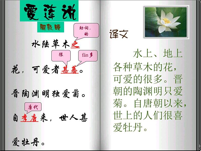 第16课《古文两篇-爱莲说》PPT课件9-七年级语文下册统编版08