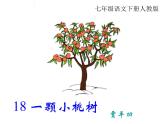 第18课《一棵小桃树》PPT课件1-七年级语文下册统编版