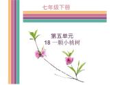 第18课《一棵小桃树》PPT课件7-七年级语文下册统编版