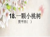 第18课《一棵小桃树》PPT课件8-七年级语文下册统编版