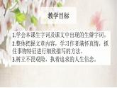 第18课《一棵小桃树》PPT课件8-七年级语文下册统编版