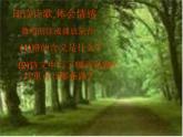 第19课《外国诗两首-未选择的路》PPT课件3-七年级语文下册统编版