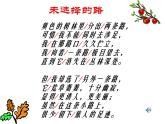 第19课《外国诗两首-未选择的路》PPT课件4-七年级语文下册统编版