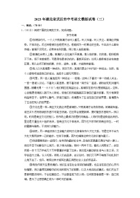 2023年湖北省武汉市中考语文模拟试卷（三）