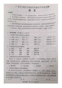 2023年四川省广安市中考语文真题