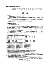 2023年山东省枣庄市中考语文真题