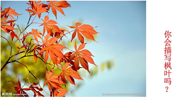 部编版语文七年级上册景物描写课件PPT第3页