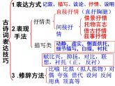 部编版语文七年级上册《诗歌鉴赏之表达技巧》课件