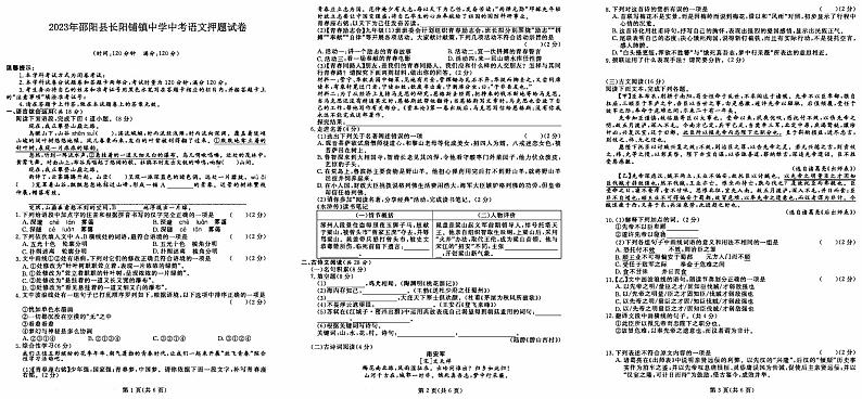 2023年湖南省邵阳市邵阳县长阳铺镇初级中学中考语文押题试卷01