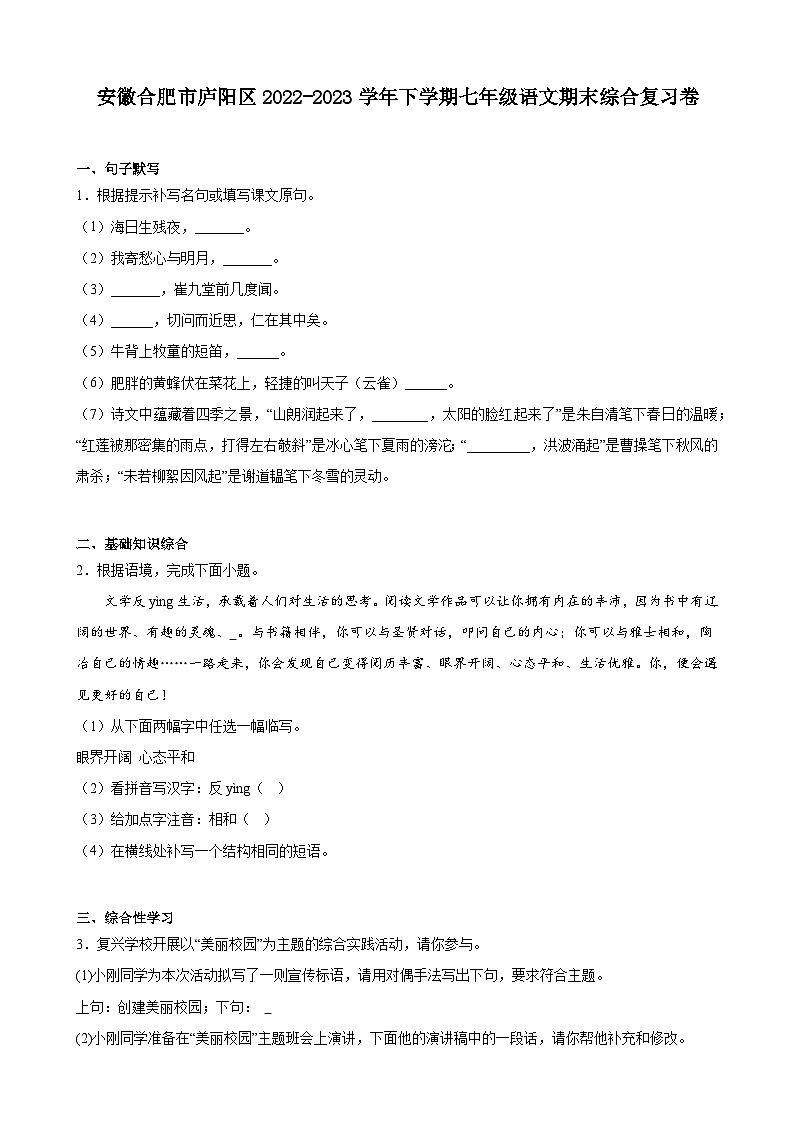 安徽合肥市庐阳区2022-2023学年七年级下学期语文期末综合复习卷01