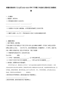 期末复习检测试题++安徽省淮南市八公山区2022-2023学年统编版语文八年级下册