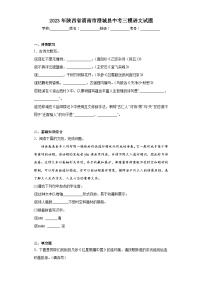 2023年陕西省渭南市澄城县中考三模语文试题(含答案)