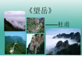 第20课《古代诗歌五首-望岳》PPT课件6-七年级语文下册统编版