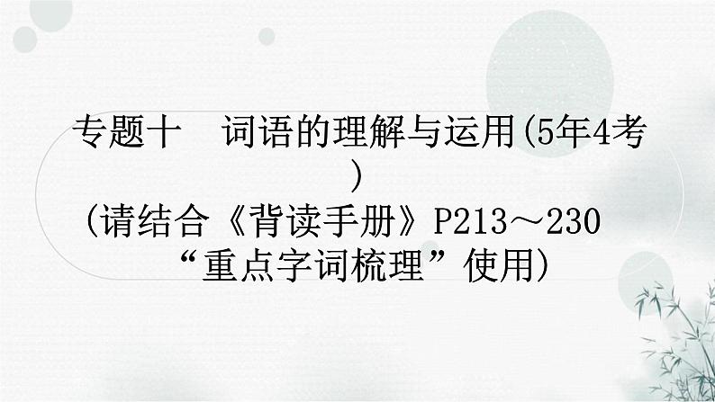 中考语文复习语言文字运用专题十词语的理解与运用课件01