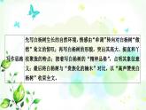 中考语文复习现代文阅读文本2教材抒情散文《白杨礼赞》教学课件