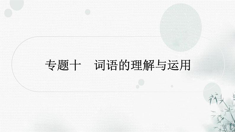 中考语文复习专题十词语的理解与运用提升作业课件01