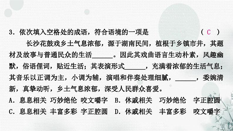 中考语文复习专题十词语的理解与运用提升作业课件06
