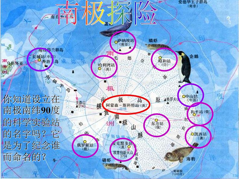 第21课《伟大的悲剧》PPT课件2-七年级语文下册统编版第7页