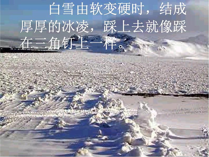 第21课《伟大的悲剧》PPT课件6-七年级语文下册统编版第7页