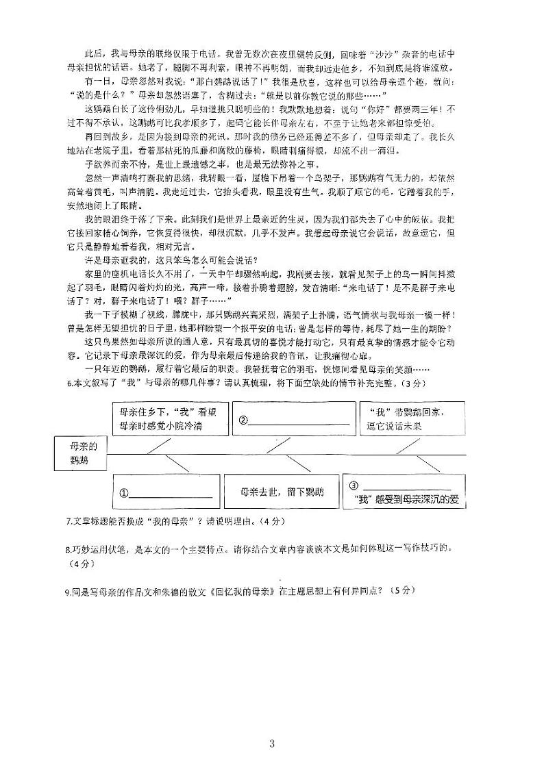 2023年河南省驻马店市驿城区中考三模语文试题03