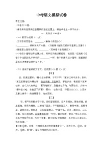 中考语文模拟试卷
