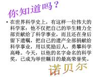 初中语文人教部编版八年级上册首届诺贝尔奖颁发说课课件ppt