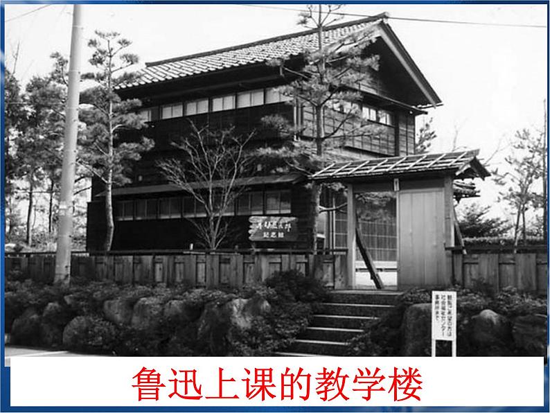 第5课《藤野先生》PPT课件5-八年级语文上册统编版05