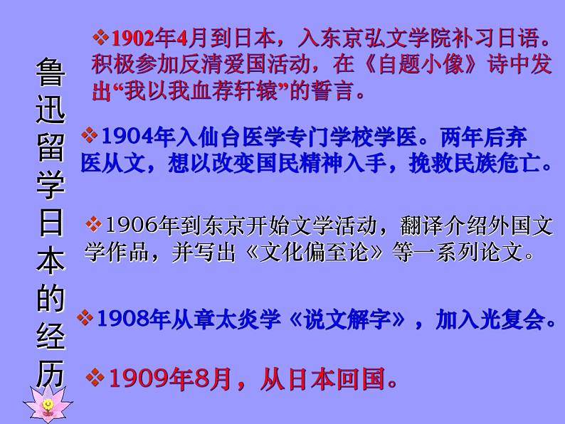 第5课《藤野先生》PPT课件3-八年级语文上册统编版07