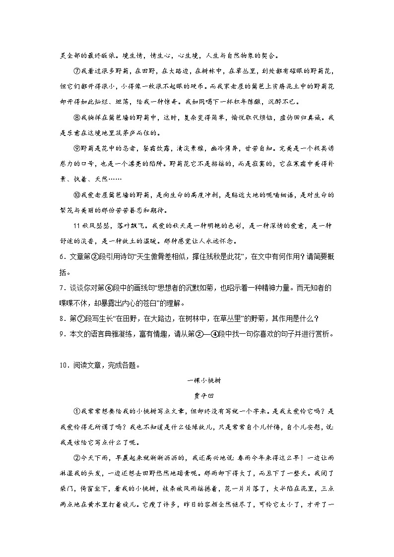 19.一棵小桃树暑假复习课课练部编版语文七年级下册第3页
