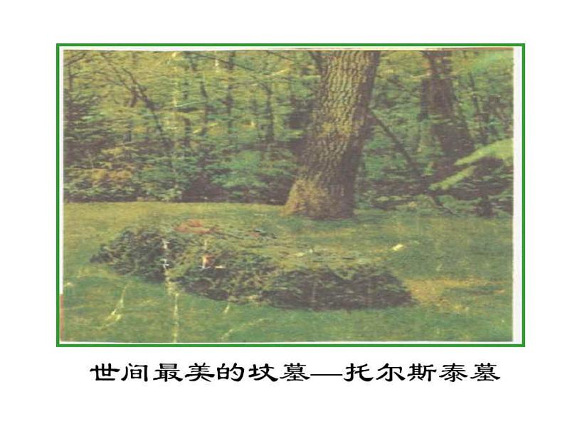 第7课《列夫 托尔斯泰》PPT课件7-八年级语文上册统编版08